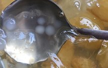 零失败水果果冻简单 白凉粉