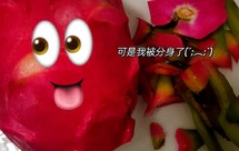 薜荔籽·凉粉果冻·禁忌记录