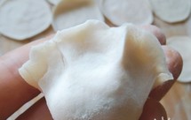 冬日里的【猪肉荠菜水饺】