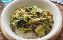 甘蓝菜猪肉末盖浇饭