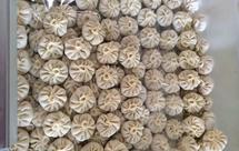 小笼包、锅贴饺、肉皮冻制做全过程原创独家超详细版