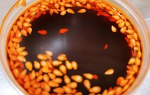 硬货必备-万能料汁猪头肉-猪耳朵-猪肥肠-猪皮冻-牛肉等等