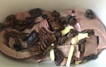 杜仲巴戟猪腰汤简单易学的一道汤