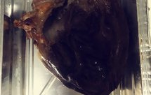 烤猪心，烧烤猪心，锡纸猪心