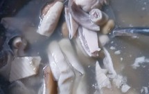 养胃猪肚汤、春砂仁之炒白扁豆