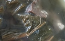 山茶油菜干猪肺汤