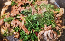 熊熊白白-曲叶欧芹 爆猪心