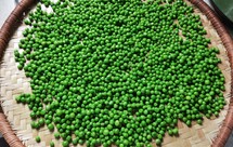 新鲜豌豆 保存方法