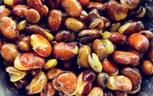 感谢网友！兰花豆成功啦