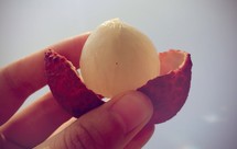 三秒钟剥荔枝大法～完美脱壳