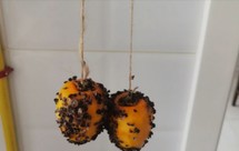 打算试试（晒柿子）