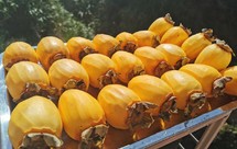 两种方法，制作柿子干/柿饼