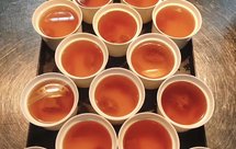 海底椰甘蔗丑耳炖雪花梨