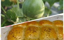 免揉简单小餐包（充分利用香瓜汁的香甜，无需额外加糖）