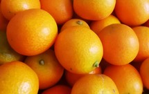 无糖型金桔柠檬茶