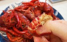 花雕熟醉冰镇小龙虾