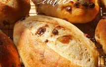 全麦葡萄干巧克力包