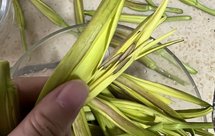 新鲜黄花菜蛋汤