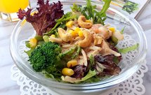 金枪鱼罐头拌苦菊