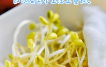 保姆级发豆芽教程，新手一次成功～马上点赞收藏～