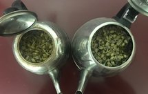 超简单水壶发豆芽