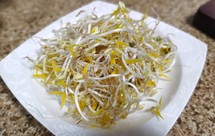 超简便生绿豆芽