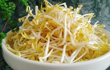 生绿豆芽的方法有粗又脆