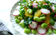 【山姆厨房】蚕豆橙子小萝卜沙拉—Broad Bean，Orange & Radishes Salad