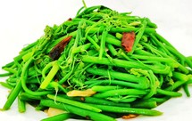 炝炒龙须菜（佛手瓜苗）