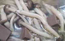 番茄炒蛋盖浇饭