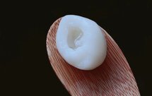 糯米粉油汤圆&汤圆