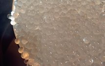 到底如何煮西米才没有白芯？