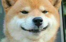 塔吉锅&五花肉&土豆