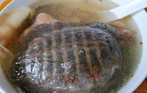 孩子都能做的甲鱼炖鸡汤