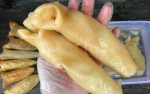 花胶泡发（新手学得会）