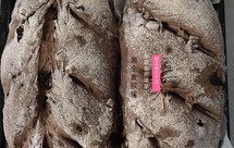 健身轻食：无油无糖高筋黑全麦粉欧包