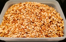 健脾祛湿的炒大米（炒米茶）—湿胖，减肥先祛湿