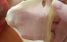 手揉手套膜 做红豆吐司 烘焙小白水合法 新手成功揉出来了（新良高筋面粉）奶粉代替牛奶