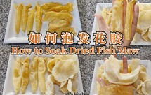 如何泡发花胶/鱼胶/鱼肚/鱼鳔