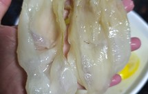 泡发花胶新教程