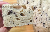 纯全麦面粉发糕，给自己备的控糖口粮