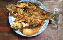 煎武昌鱼（鳊鱼）