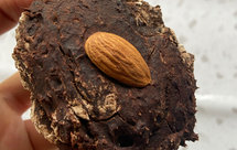 只有香蕉和大米粉的饼干