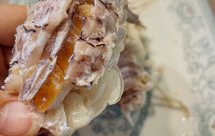 盐水超大爆膏皮皮虾