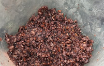 红米黑米 甜 配牛奶