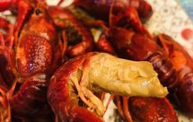 美味无敌超级简单—熟醉小龙虾