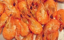 白灼海虾（超鲜美超满足）