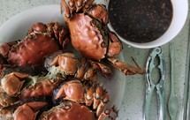 姜醋爱上大闸蟹