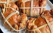 清蒸大闸蟹|广东男朋友讲究的螃蟹本味