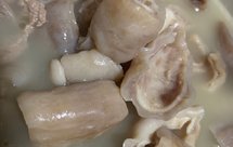 花椒煲鲜鳘鱼肚（广式）